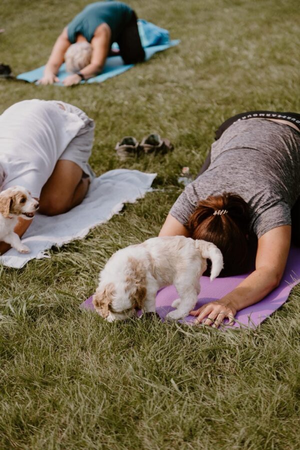 Group of women practicing yoga on the grass with playful Goldendoodle puppies at Deer Creek Doodles.